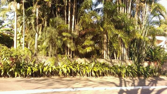 Suites Brotas City Exterior foto